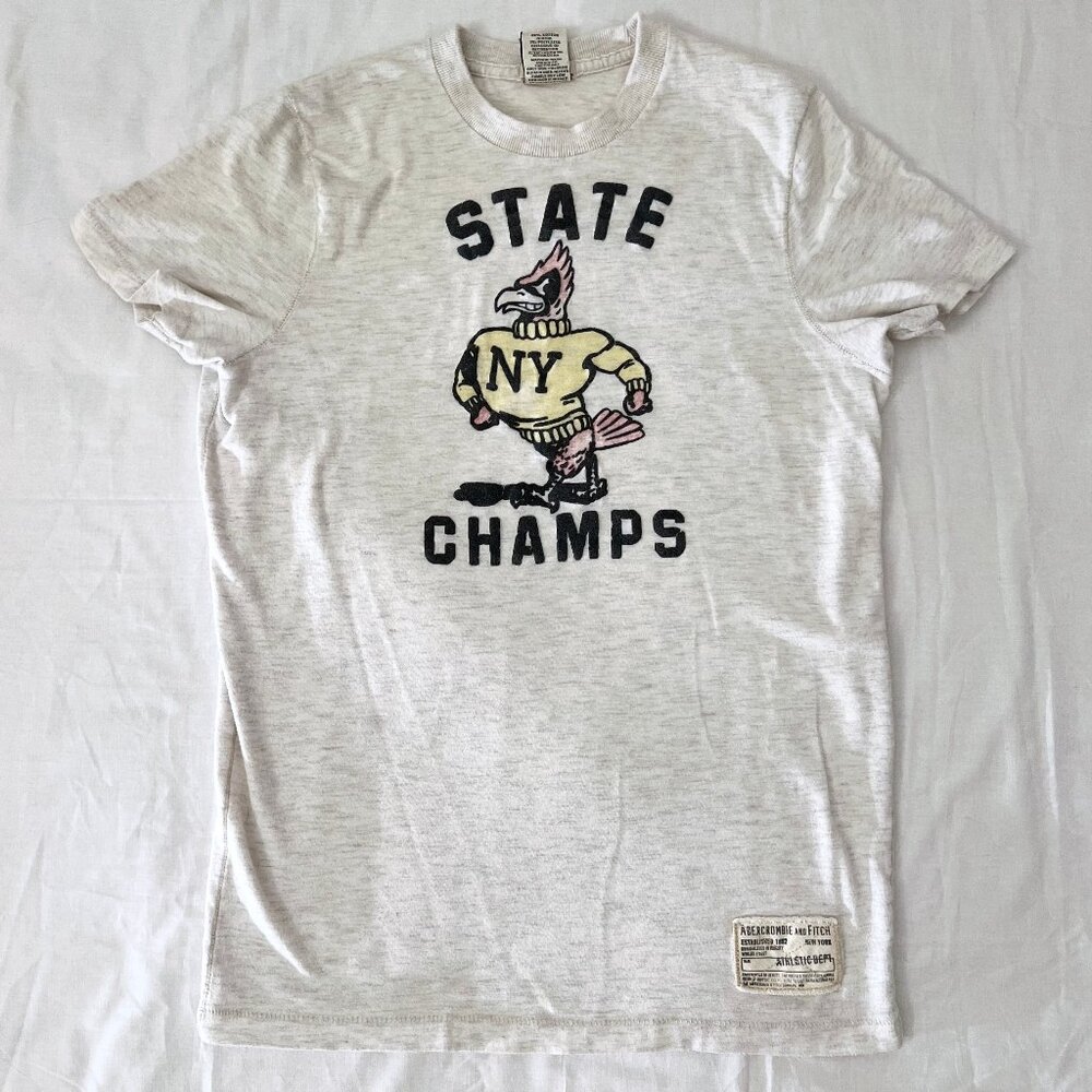 Abercrombie & Fitch Men’s Muscle Fit Tee, Heather Gray Size S, Vintage Y2K